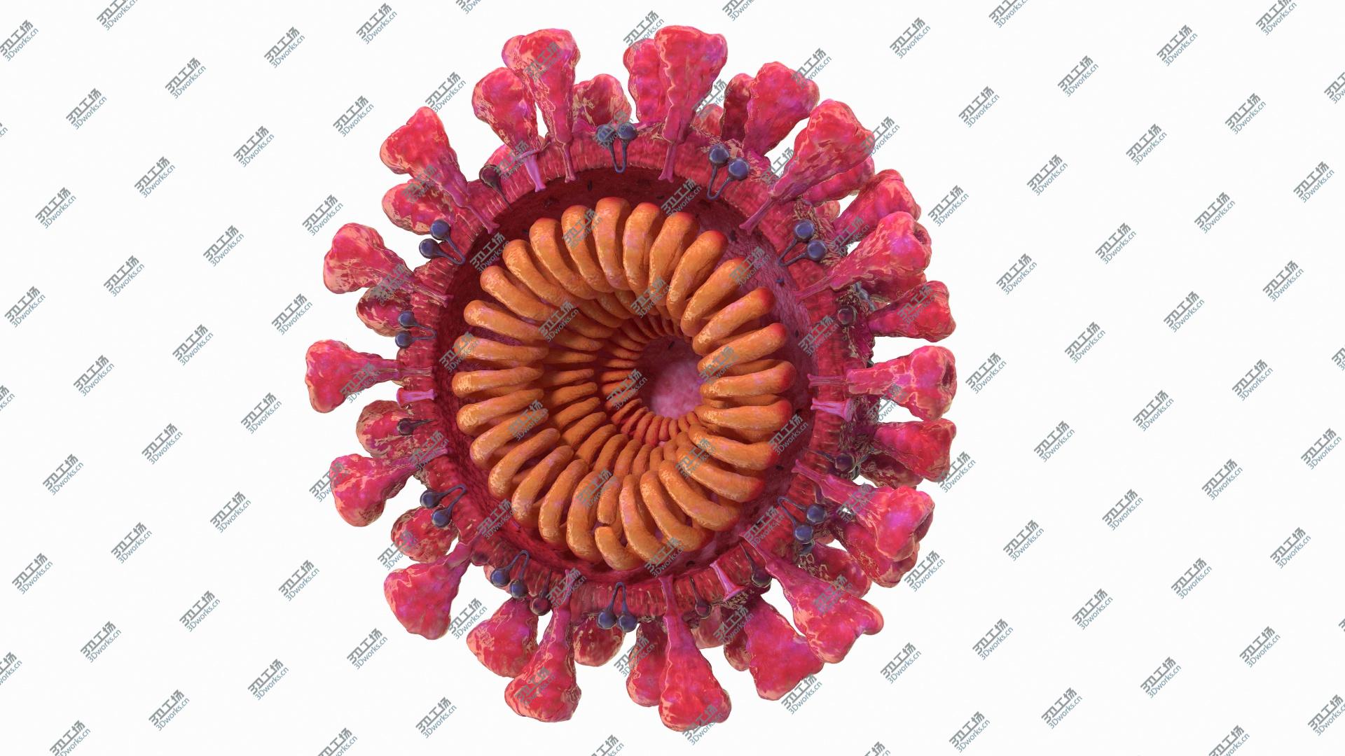 images/goods_img/20210313/Coronavirus 2019-nCoV SARS-CoV-2 Cross Section 3D/2.jpg
